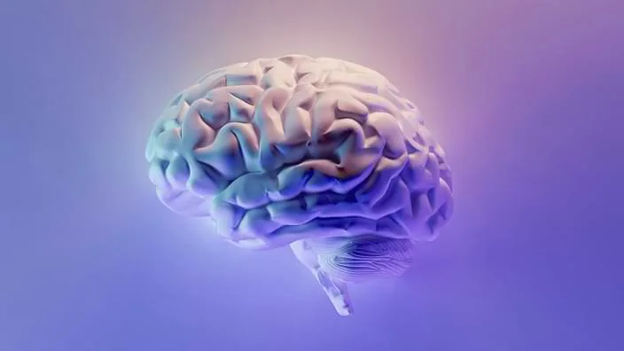 成为卓越玩家：狗子28必备的四项核心技能 - 狗子28官方平台